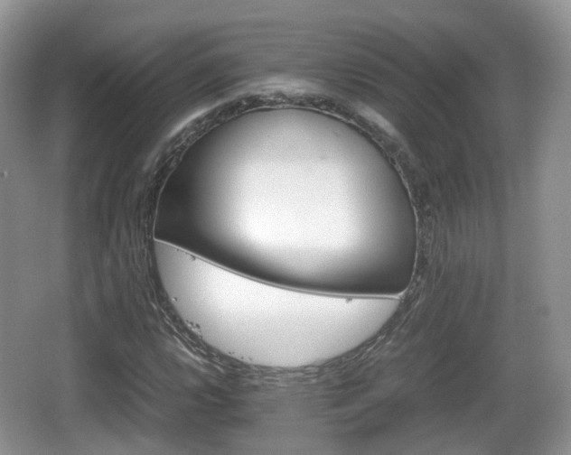 X0000066541112200603241404