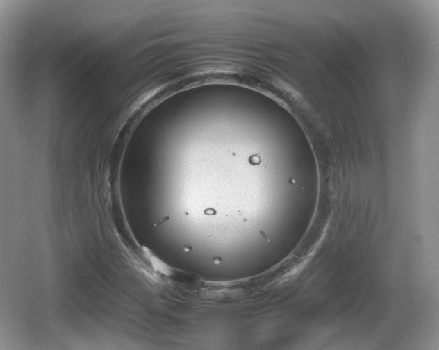 X0000066541113200603241404