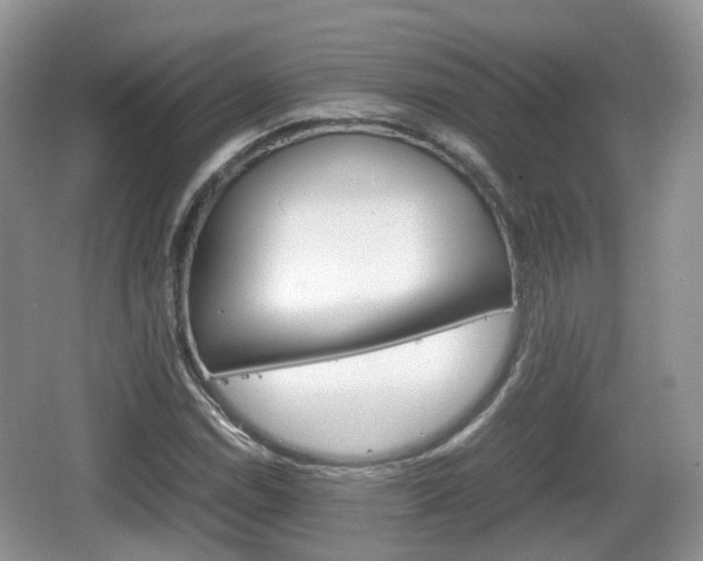 X0000066541114200603241404