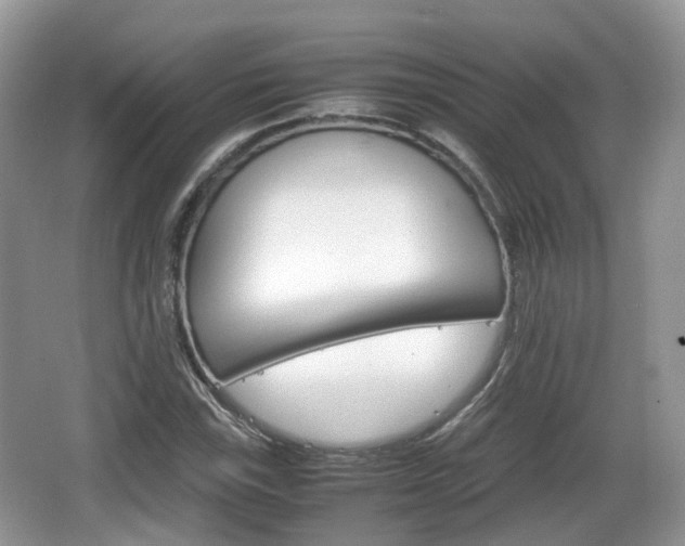 X0000066541115200603241404