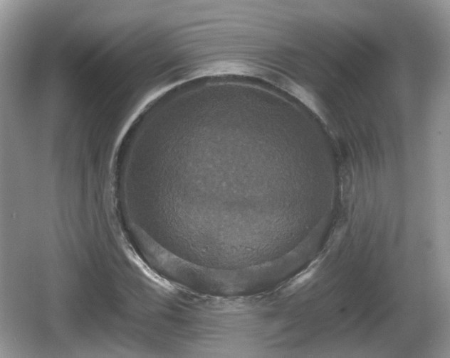 X0000066541116200603241404