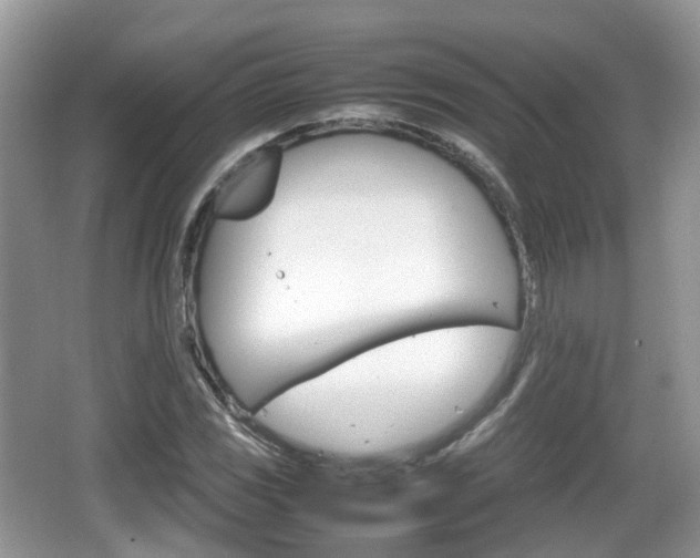 X0000066541117200603241404