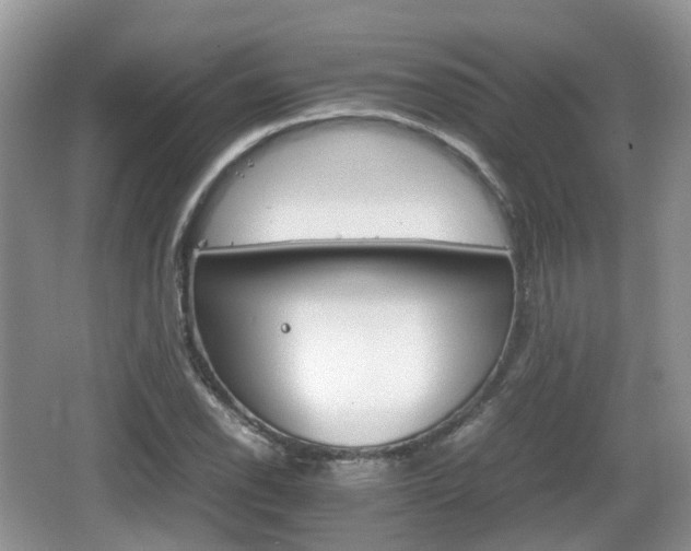 X0000066541118200603241404