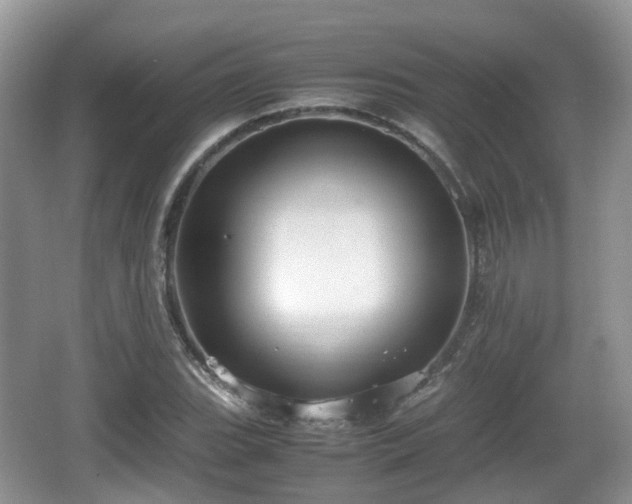 X0000066541119200603241404