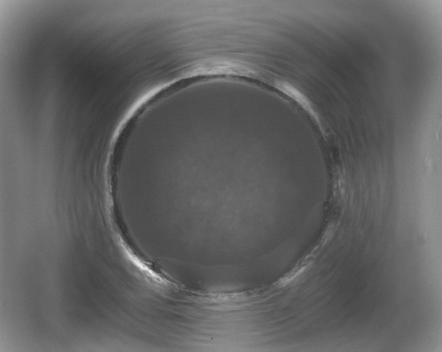 X0000066541120200603241404