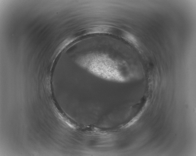 X0000066541121200603241404