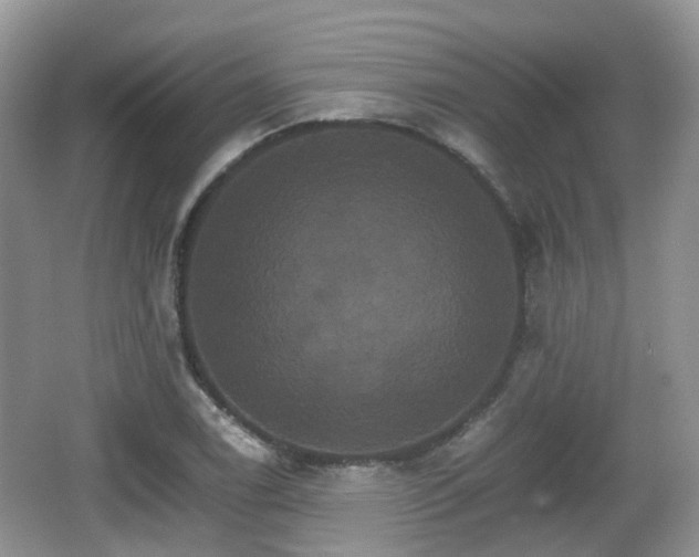 X0000066541122200603241404