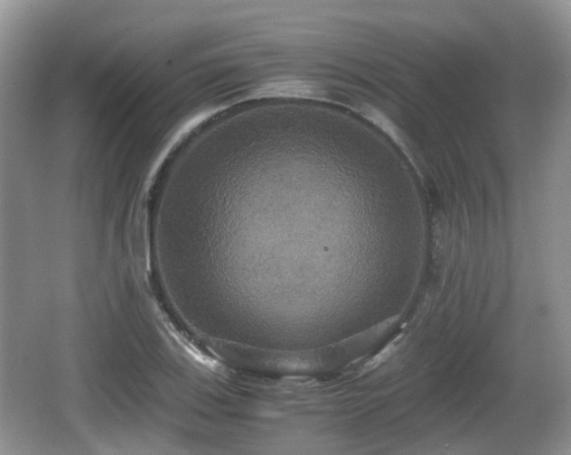 X0000066541123200603241404