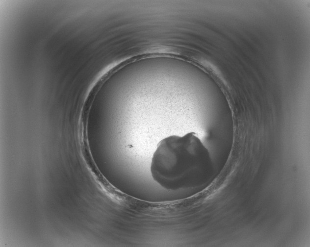 X0000066541125200603241404