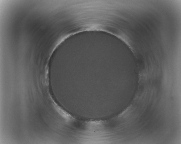 X0000066541126200603241404