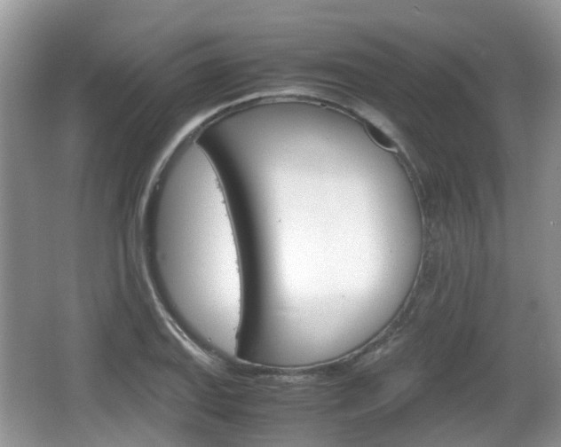 X0000066541127200603241404