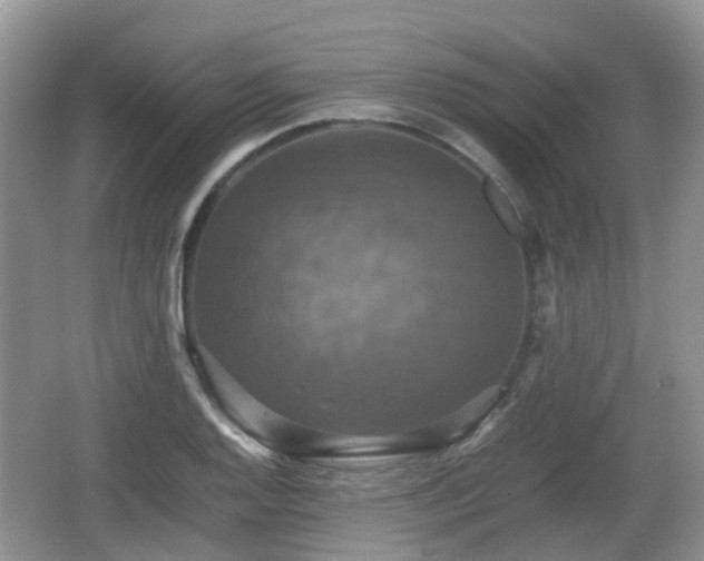 X0000066541128200603241404