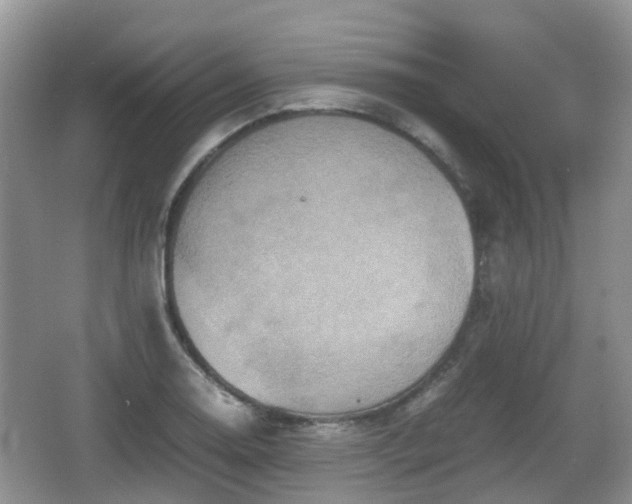 X0000066541130200603241404