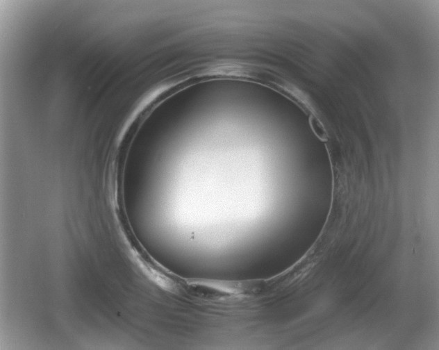 X0000066541131200603241404