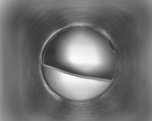 X0000066541132200603241404