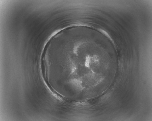 X0000066541133200603241404