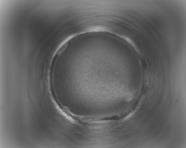 X0000066541134200603241404