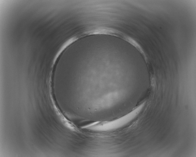 X0000066541138200603241404