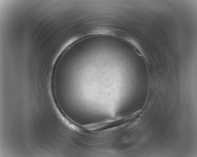 X0000066541139200603241404