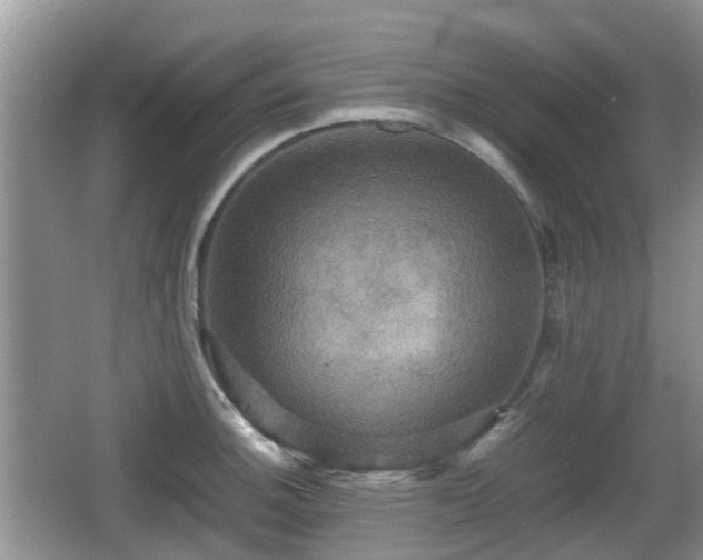 X0000066541140200603241404