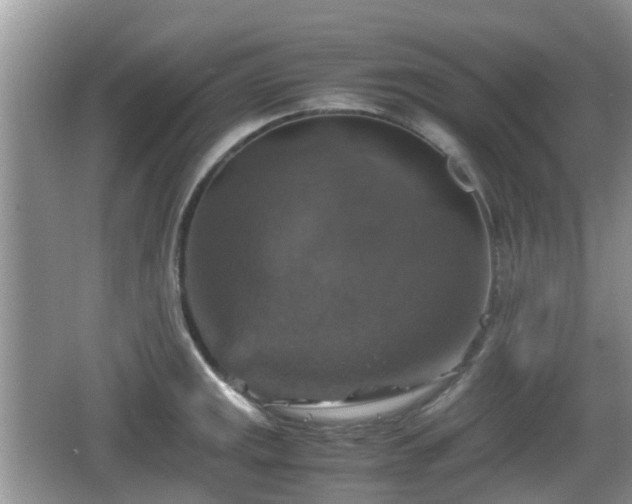 X0000066541141200603241404