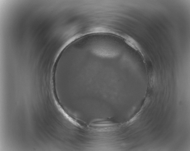 X0000066541142200603241404