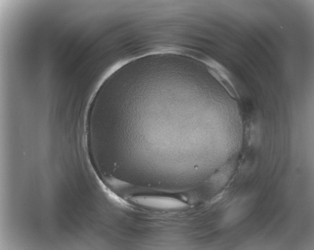 X0000066541143200603241404