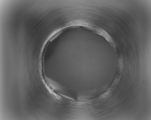 X0000066541144200603241404