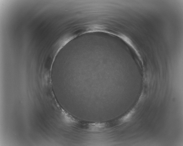 X0000066541145200603241404