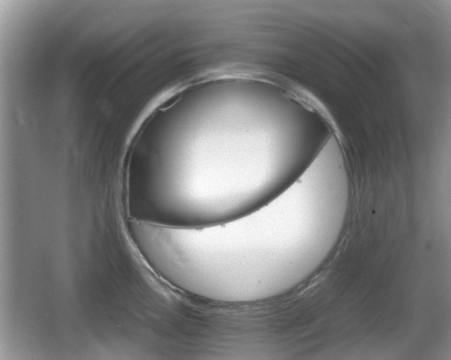 X0000066541146200603241404