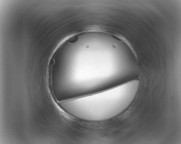 X0000066541147200603241404