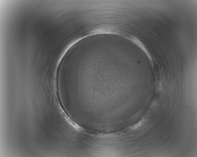 X0000066541148200603241404