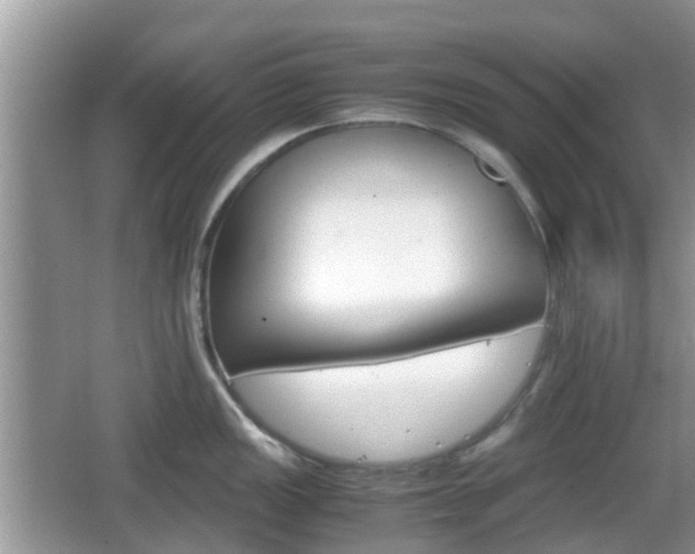 X0000066541149200603241404