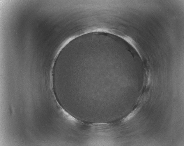 X0000066541151200603241404