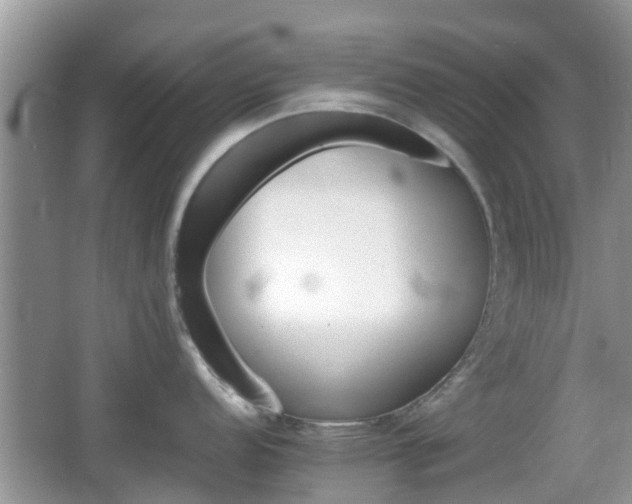 X0000066541152200603241404