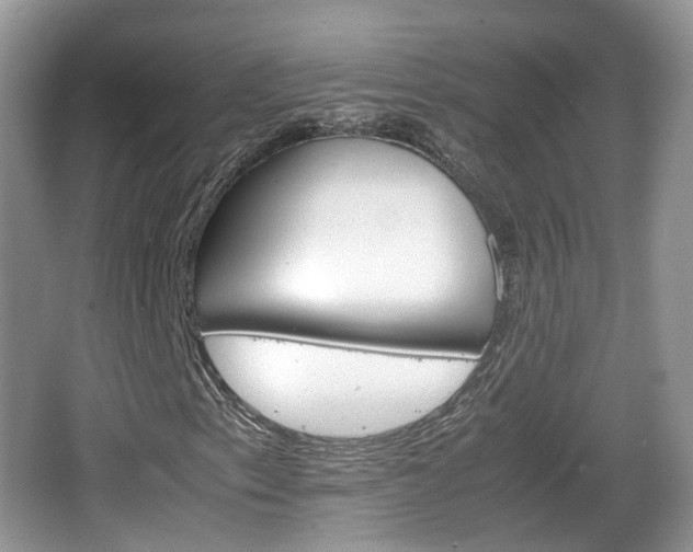 X0000066541153200603241404