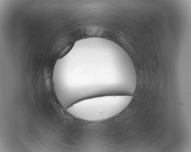 X0000066541154200603241404