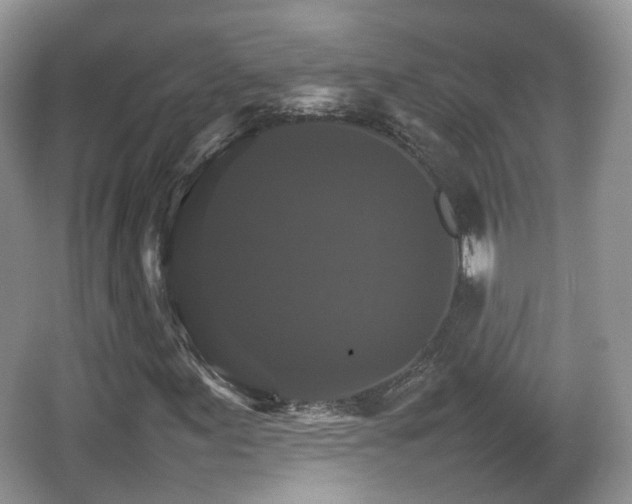 X0000066541155200603241404