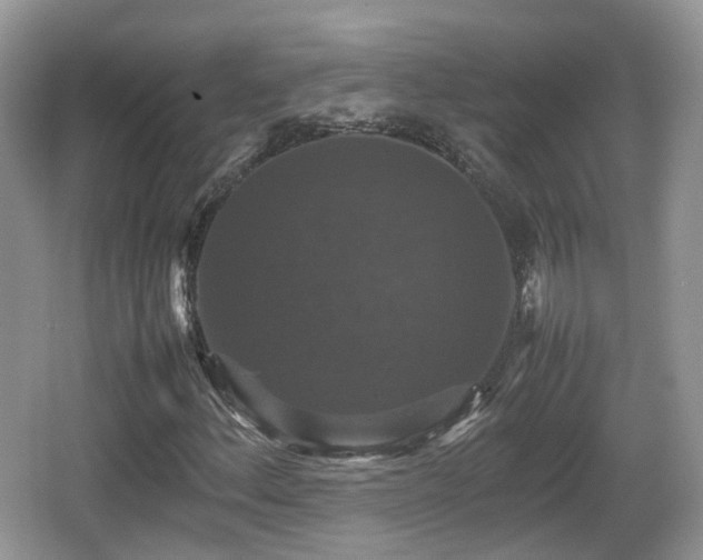 X0000066541156200603241404