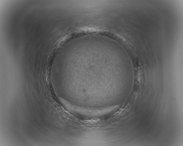 X0000066541157200603241404