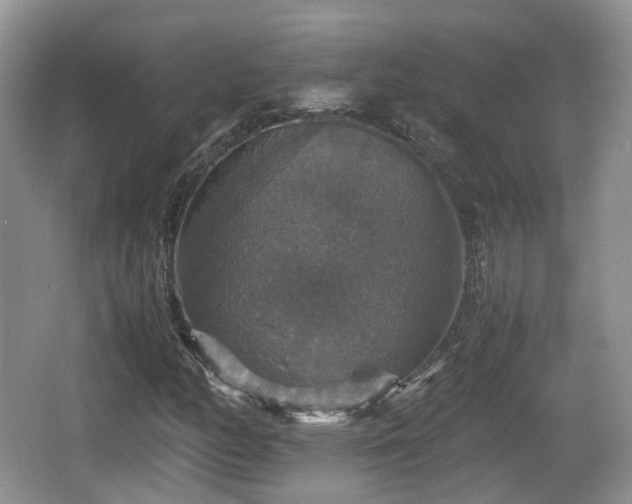 X0000066541158200603241404