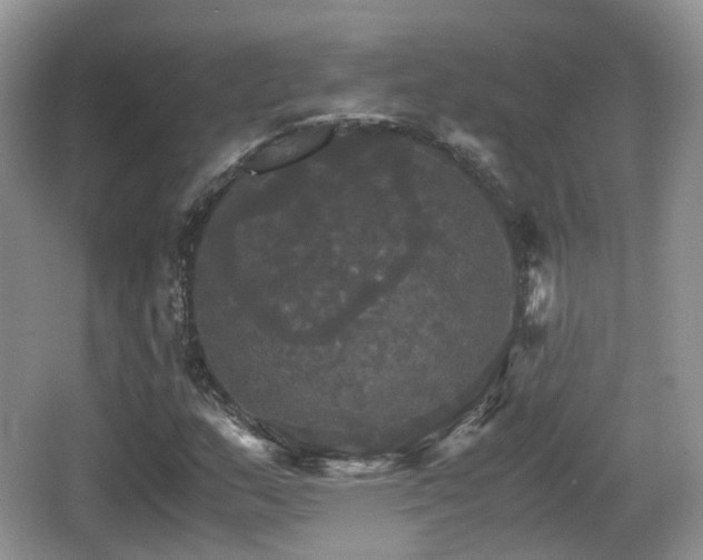 X0000066541159200603241404