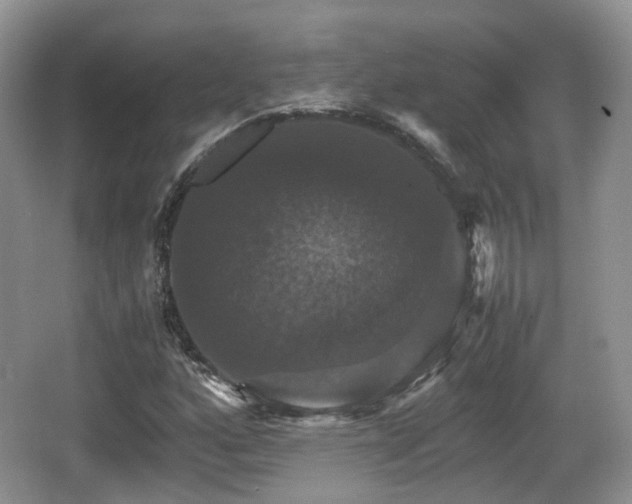 X0000066541160200603241404