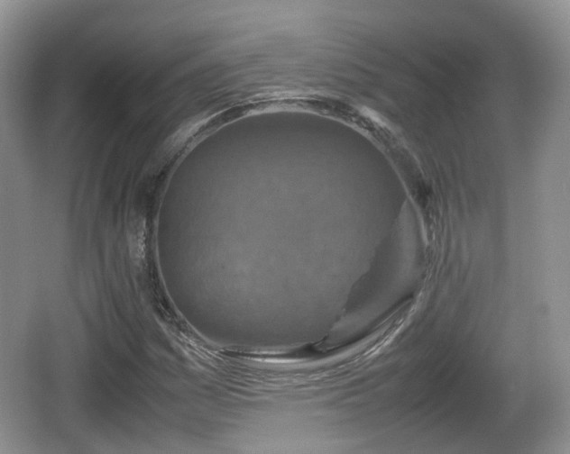 X0000066541161200603241404