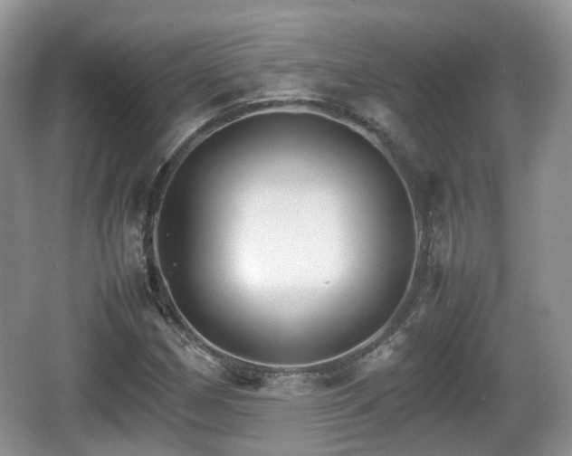 X0000066541162200603241404