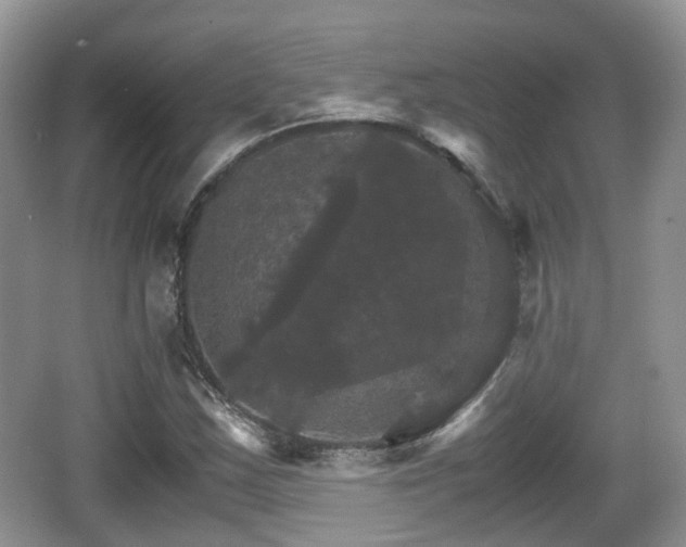 X0000066541163200603241403