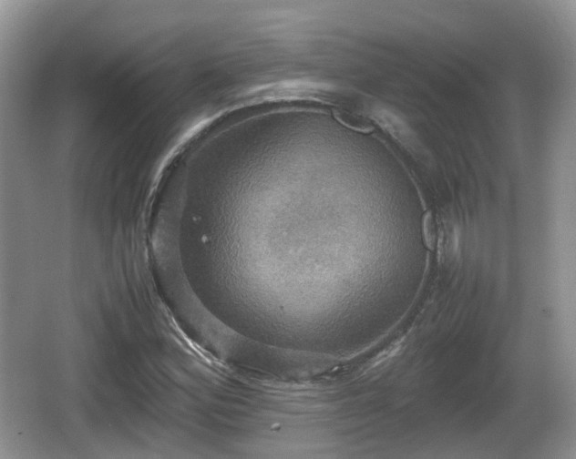 X0000066541164200603241403