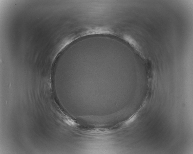 X0000066541165200603241403