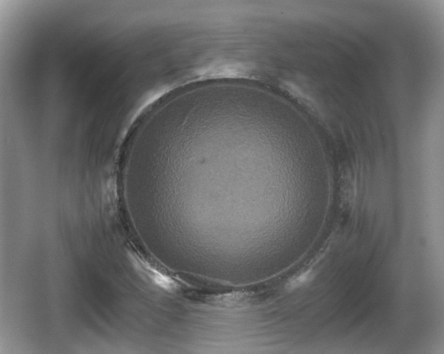 X0000066541166200603241403