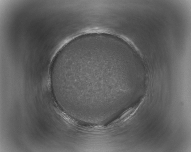 X0000066541167200603241403